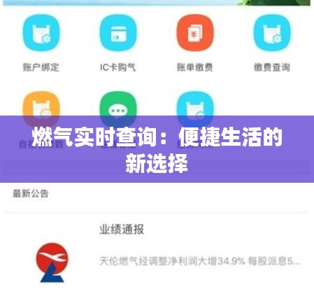 燃气实时查询：便捷生活的新选择