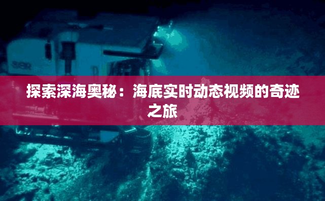 探索深海奥秘：海底实时动态视频的奇迹之旅