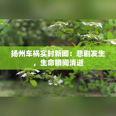 见缝就钻 第2页