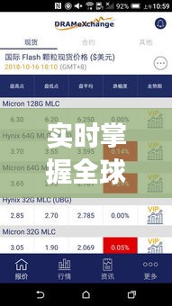 实时掌握全球趋势：国外App排行榜实时网站深度解析