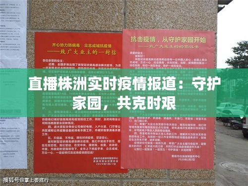 直播株洲实时疫情报道：守护家园，共克时艰