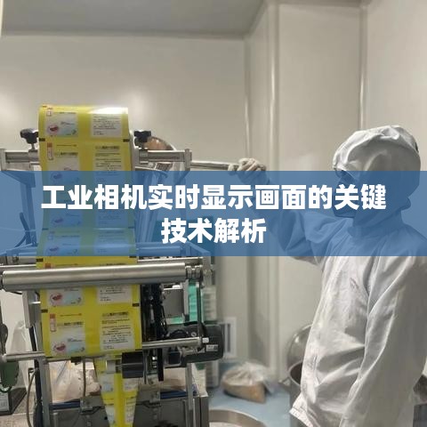 工业相机实时显示画面的关键技术解析