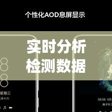 实时分析检测数据：软件技术的革新与未来展望