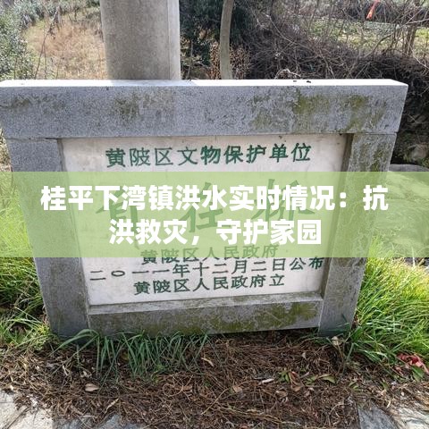 自由自在 第2页