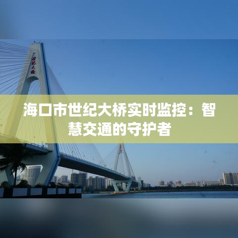 海口市世纪大桥实时监控：智慧交通的守护者