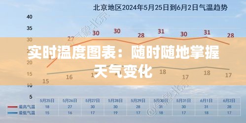 实时温度图表：随时随地掌握天气变化