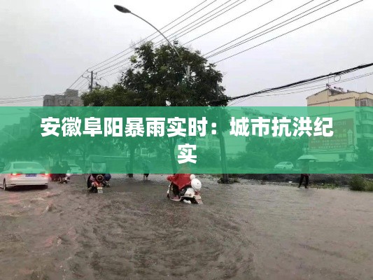 安徽阜阳暴雨实时：城市抗洪纪实