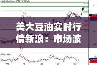 美大豆油实时行情新浪：市场波动下的投资策略解析