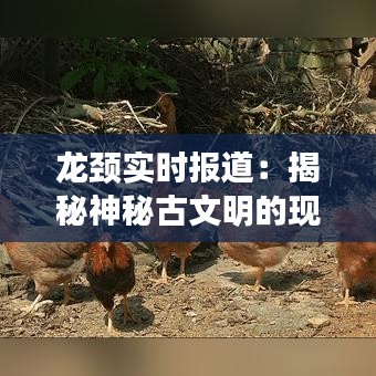 龙颈实时报道：揭秘神秘古文明的现代足迹