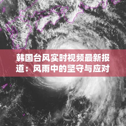 韩国台风实时视频最新报道：风雨中的坚守与应对