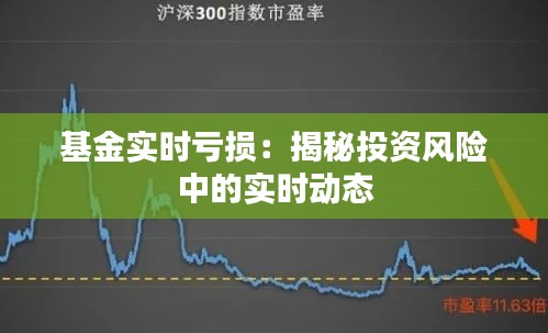 基金实时亏损：揭秘投资风险中的实时动态