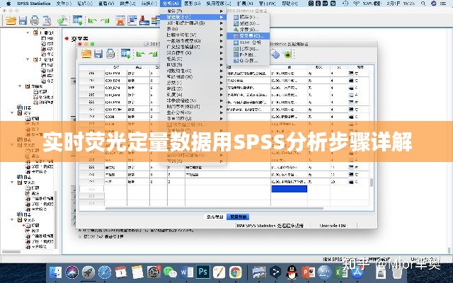 实时荧光定量数据用SPSS分析步骤详解