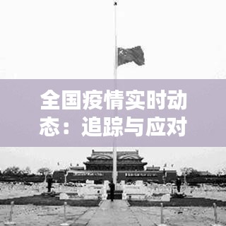 全国疫情实时动态：追踪与应对