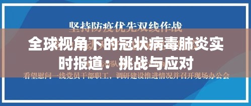 全球视角下的冠状病毒肺炎实时报道：挑战与应对