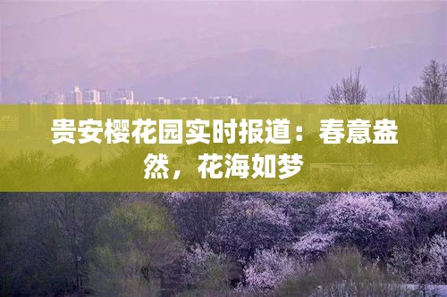 贵安樱花园实时报道：春意盎然，花海如梦