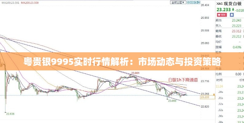 粤贵银9995实时行情解析：市场动态与投资策略