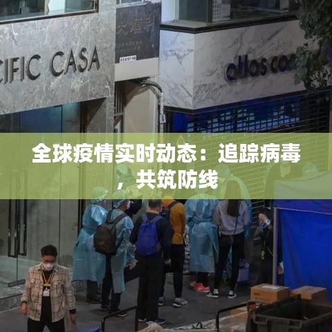 全球疫情实时动态：追踪病毒，共筑防线