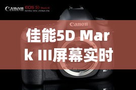 佳能5D Mark III屏幕实时显示功能解析：摄影新体验