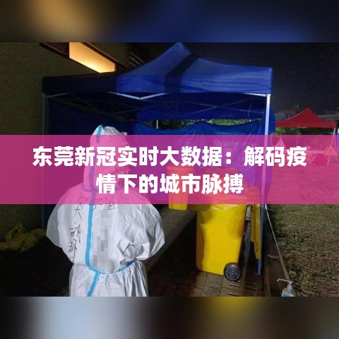 东莞新冠实时大数据：解码疫情下的城市脉搏