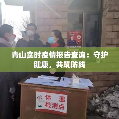 青山实时疫情报告查询：守护健康，共筑防线