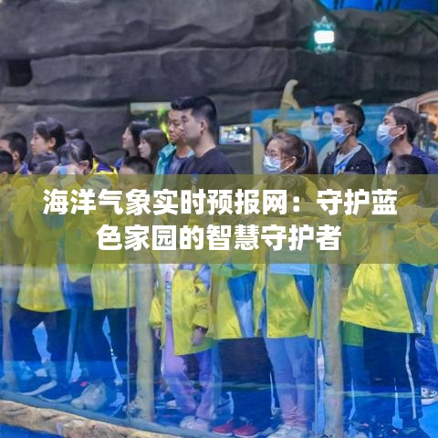 海洋气象实时预报网：守护蓝色家园的智慧守护者