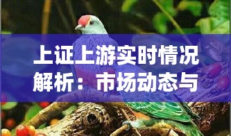 上证上游实时情况解析：市场动态与投资机遇