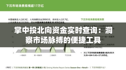 掌中投北向资金实时查询：洞察市场脉搏的便捷工具