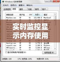 实时监控显示内存使用率：智能优化计算机性能的利器