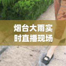 烟台大雨实时直播现场视频：捕捉城市暴雨瞬间，见证自然力量