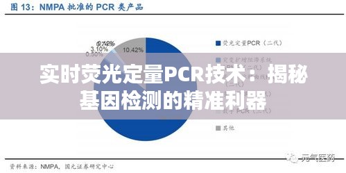 实时荧光定量PCR技术：揭秘基因检测的精准利器