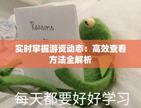 实时掌握游资动态：高效查看方法全解析