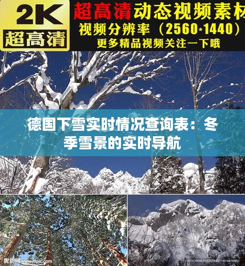 德国下雪实时情况查询表：冬季雪景的实时导航