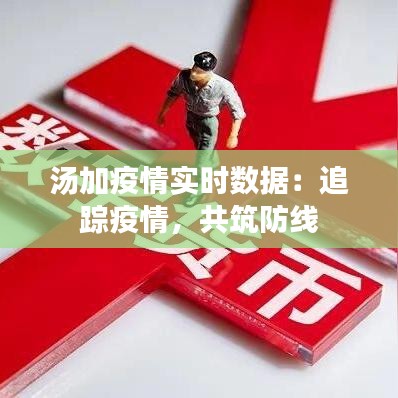 汤加疫情实时数据：追踪疫情，共筑防线