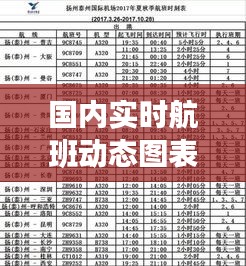 国内实时航班动态图表：航路追踪，安全出行新伙伴