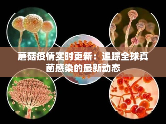 蘑菇疫情实时更新：追踪全球真菌感染的最新动态