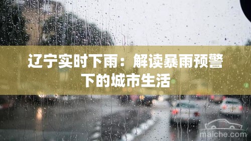 辽宁实时下雨：解读暴雨预警下的城市生活