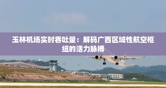 玉林机场实时吞吐量：解码广西区域性航空枢纽的活力脉搏