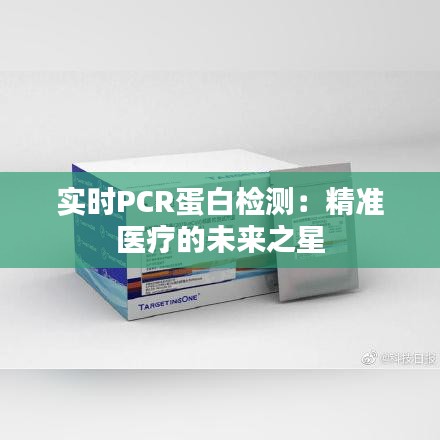 实时PCR蛋白检测：精准医疗的未来之星