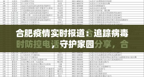 合肥疫情实时报道：追踪病毒，守护家园