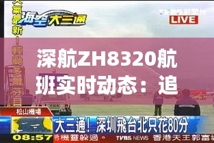 深航ZH8320航班实时动态：追踪蓝天下的温馨旅程