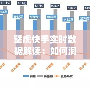 壁虎快手实时数据解读：如何洞察平台动态