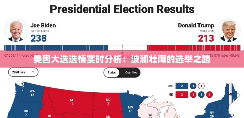 美国大选选情实时分析：波澜壮阔的选举之路