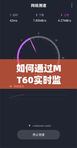 如何通过MT60实时监测网速：全方位指南
