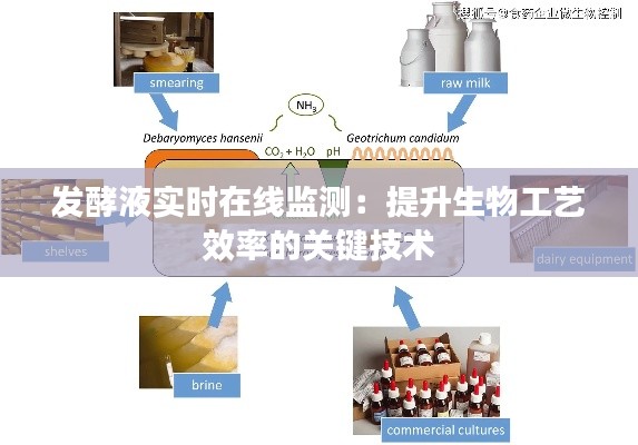 发酵液实时在线监测：提升生物工艺效率的关键技术