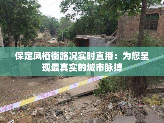 保定凤栖街路况实时直播：为您呈现最真实的城市脉搏