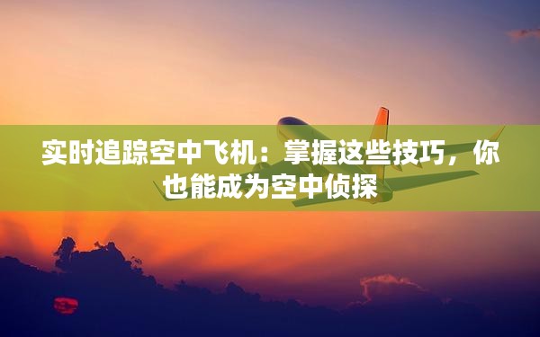 实时追踪空中飞机：掌握这些技巧，你也能成为空中侦探