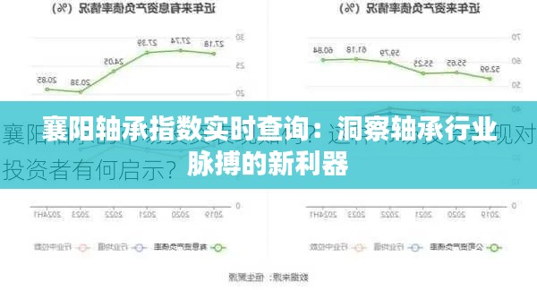 襄阳轴承指数实时查询：洞察轴承行业脉搏的新利器