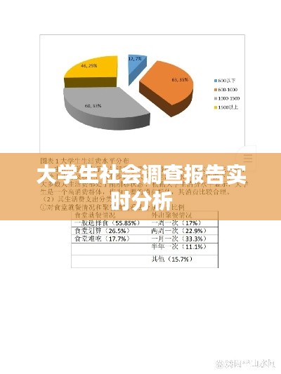 大学生社会调查报告实时分析