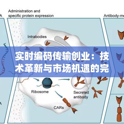 实时编码传输创业：技术革新与市场机遇的完美结合