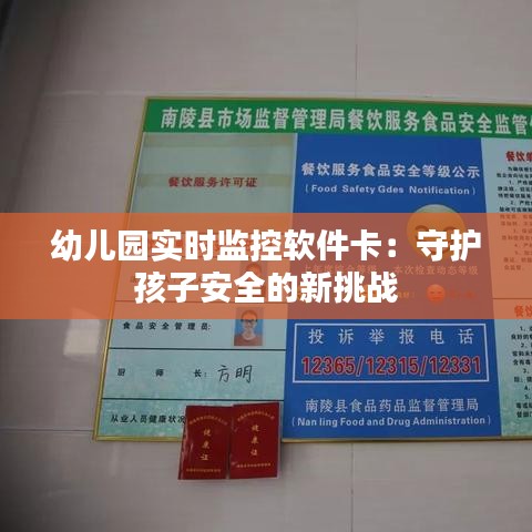 幼儿园实时监控软件卡：守护孩子安全的新挑战